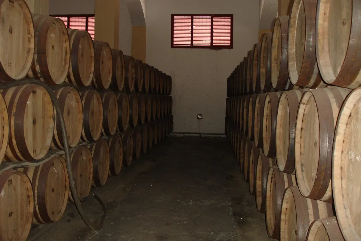 Rows of oak sherry barrels stacked along both sides of a whitewashed cellar corridor in a Jerez bodega